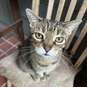 Meet your Posher, Tracy